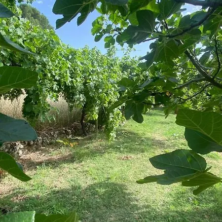 La Joya De Casa vacanze *